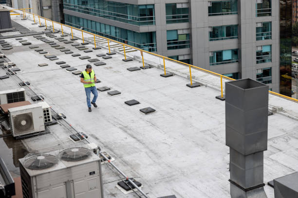 Best Cold Roofs  in Ivanhoe, TX