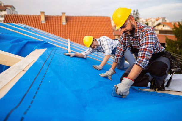 Best Rubber Roofing (EPDM, TPO)  in Ivanhoe, TX