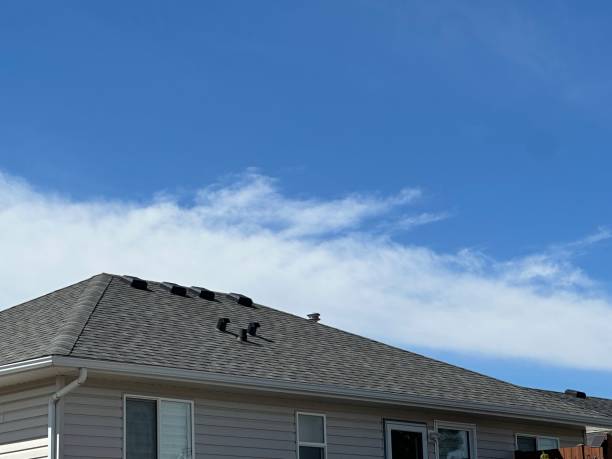 Best Roof Insulation Installation  in Ivanhoe, TX